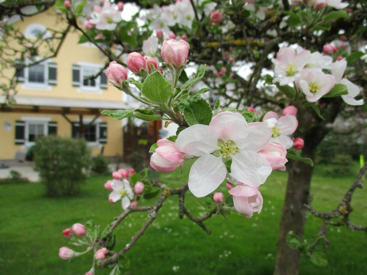 Ferienhaus Muehlfeldner Vila Laufen Exterior foto